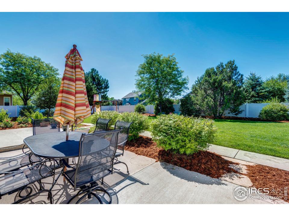  223 Cattail Bay, Windsor, CO 80550 photo 24