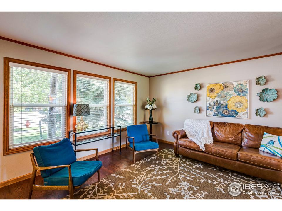  223 Cattail Bay, Windsor, CO 80550 photo 2