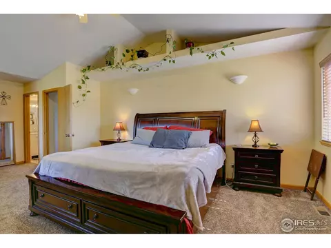 612 1st St, Windsor, CO 80550 photo 18