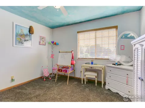612 1st St, Windsor, CO 80550 photo 22