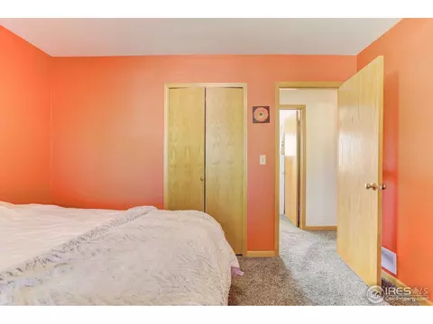 612 1st St, Windsor, CO 80550 photo 25