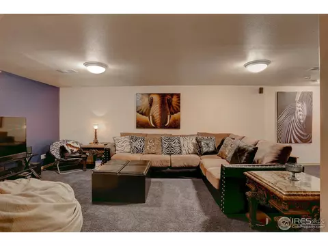 612 1st St, Windsor, CO 80550 photo 16