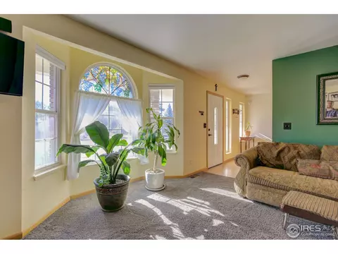 612 1st St, Windsor, CO 80550 photo 13