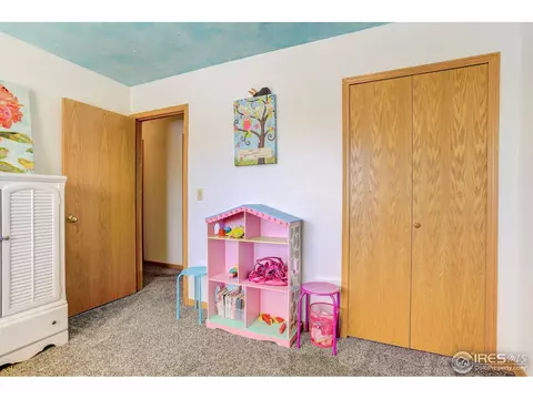 612 1st St, Windsor, CO 80550 photo 23