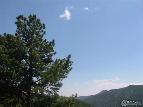 440 Hickok Trl, Ward, CO 80481 photo 6