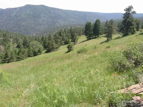 440 Hickok Trl, Ward, CO 80481 photo 1