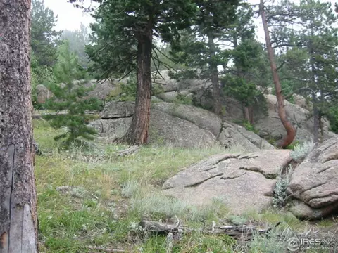 440 Hickok Trl, Ward, CO 80481 photo 4