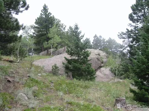 440 Hickok Trl, Ward, CO 80481 photo 3