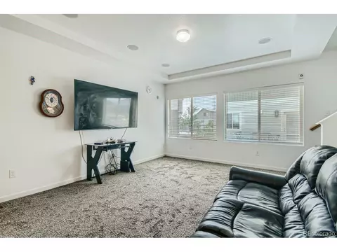 20061 E 48th Dr, Denver, CO 80249 photo 7