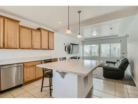 20061 E 48th Dr, Denver, CO 80249 photo 9