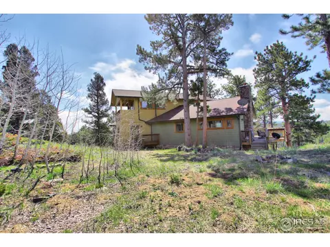 244 Bramer Rd, Ward, CO 80481 photo 28