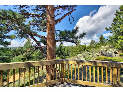 244 Bramer Rd, Ward, CO 80481 photo 31