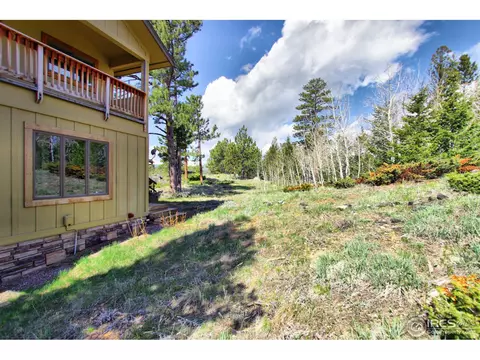 244 Bramer Rd, Ward, CO 80481 photo 30