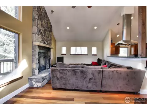 244 Bramer Rd, Ward, CO 80481 photo 11