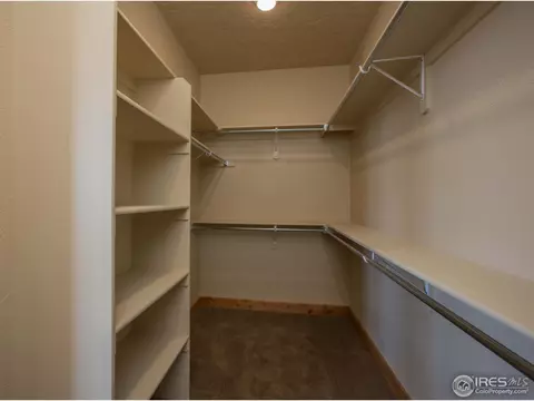 5242 Rockingham Ct, Windsor, CO 80550 photo 23