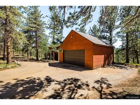 Exterior - 163 Buffum St, Bailey, CO 80421 photo 6 of 7
