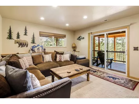 Living - 163 Buffum St, Bailey, CO 80421 photo 7 of 8