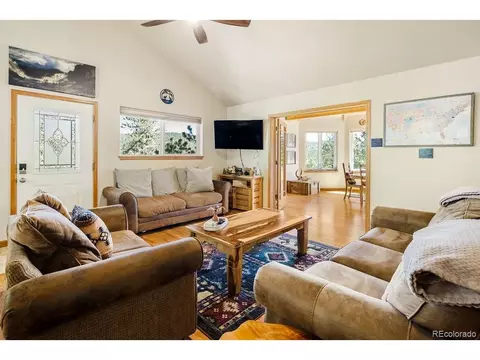 Living - 163 Buffum St, Bailey, CO 80421 photo 2 of 8