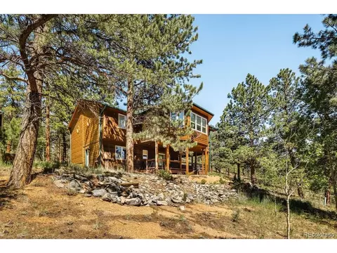Other - 163 Buffum St, Bailey, CO 80421 photo 8 of 8