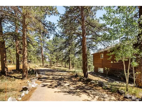 Exterior - 163 Buffum St, Bailey, CO 80421 photo 7 of 7