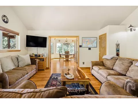 Living - 163 Buffum St, Bailey, CO 80421 photo 1 of 8