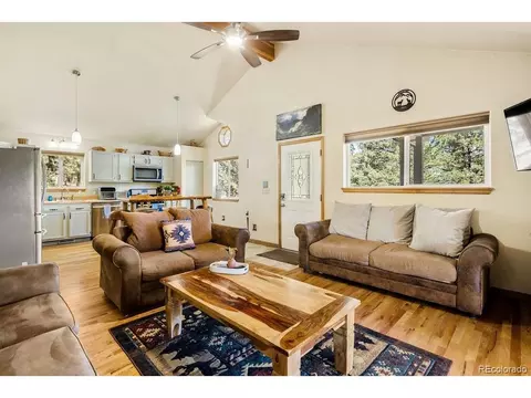 Living - 163 Buffum St, Bailey, CO 80421 photo 4 of 8