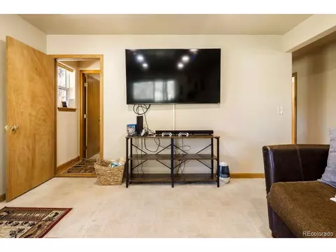 Living - 163 Buffum St, Bailey, CO 80421 photo 8 of 8