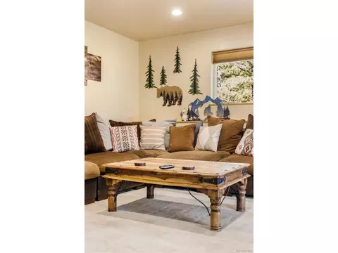Living - 163 Buffum St, Bailey, CO 80421 photo 6 of 8