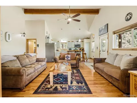 Living - 163 Buffum St, Bailey, CO 80421 photo 3 of 8