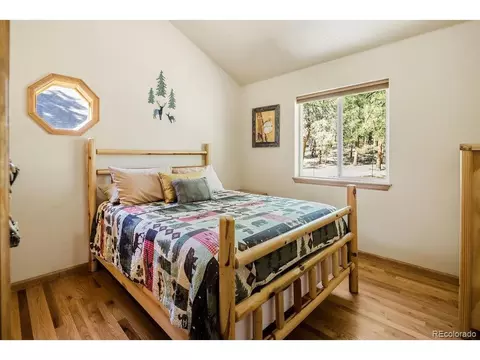 Bedroom - 163 Buffum St, Bailey, CO 80421 photo 5 of 10