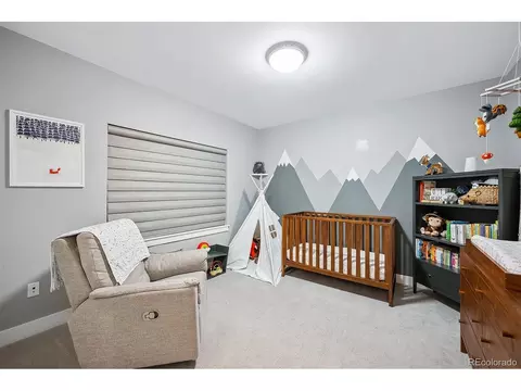 3536 Tejon St, Denver, CO 80211 photo 17