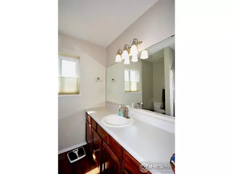 40 Lodgepole Dr, Windsor, CO 80550 photo 12
