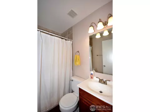 40 Lodgepole Dr, Windsor, CO 80550 photo 15