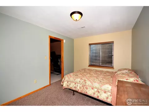 40 Lodgepole Dr, Windsor, CO 80550 photo 17