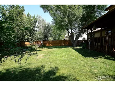 40 Lodgepole Dr, Windsor, CO 80550 photo 22