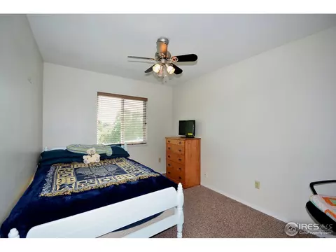 40 Lodgepole Dr, Windsor, CO 80550 photo 13