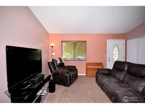 40 Lodgepole Dr, Windsor, CO 80550 photo 3