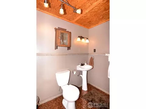 40 Lodgepole Dr, Windsor, CO 80550 photo 18