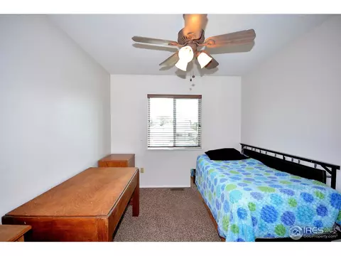 40 Lodgepole Dr, Windsor, CO 80550 photo 14