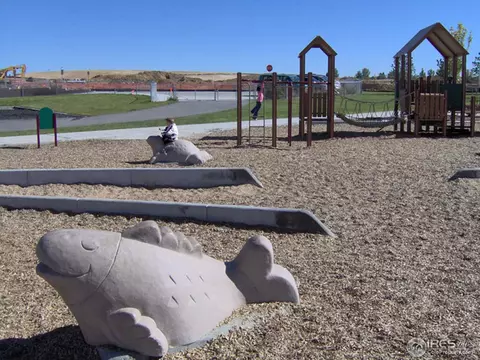 3542 E 140th Dr, Thornton, CO 80602 photo 28