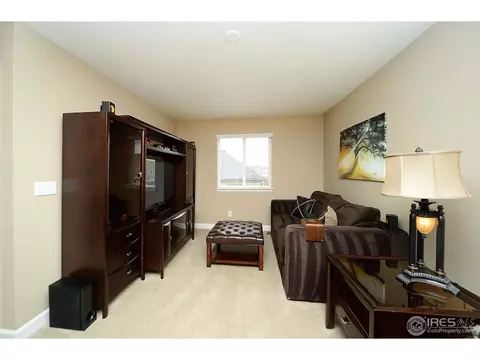 3542 E 140th Dr, Thornton, CO 80602 photo 13