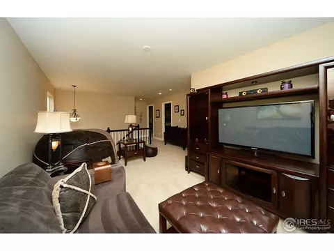 3542 E 140th Dr, Thornton, CO 80602 photo 12