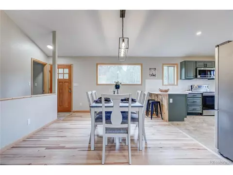 1204 Clark Rd, Bailey, CO 80421 photo 7
