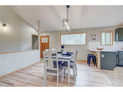 1204 Clark Rd, Bailey, CO 80421 photo 8