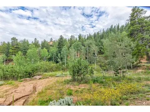 1204 Clark Rd, Bailey, CO 80421 photo 30