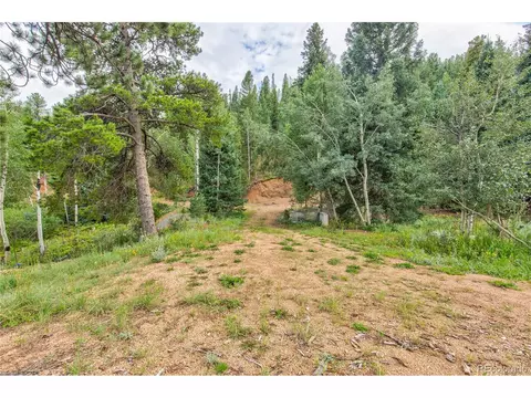 1204 Clark Rd, Bailey, CO 80421 photo 27
