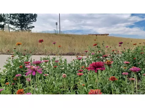Exterior - 7465 E 157th Pl, Thornton, CO 80602 photo 10 of 11