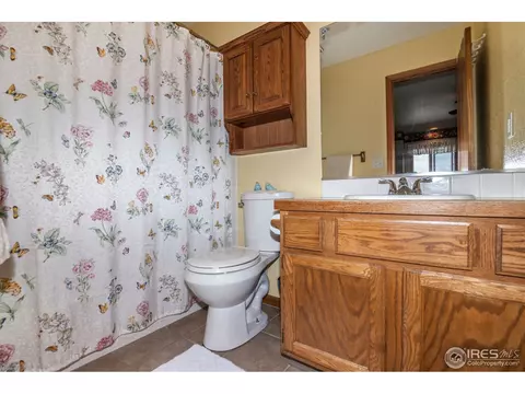 1121 3rd St, Windsor, CO 80550 photo 18