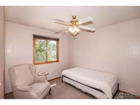 1121 3rd St, Windsor, CO 80550 photo 17