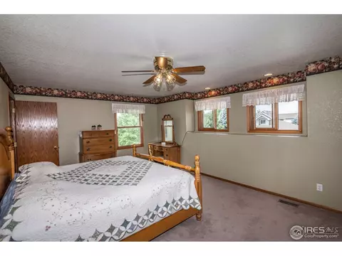 1121 3rd St, Windsor, CO 80550 photo 13